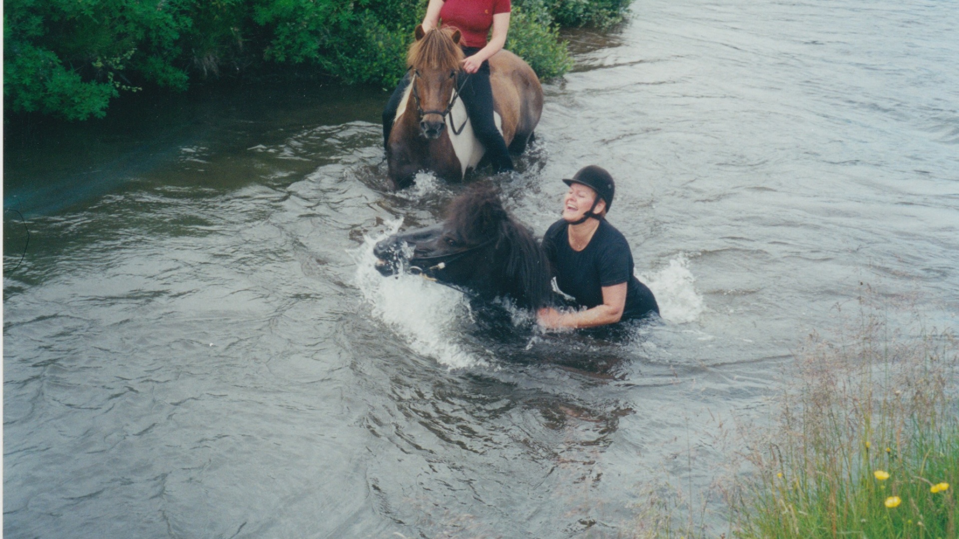 The Fabulous Alt Text